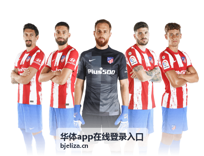 华体app在线登录入口 登录指南